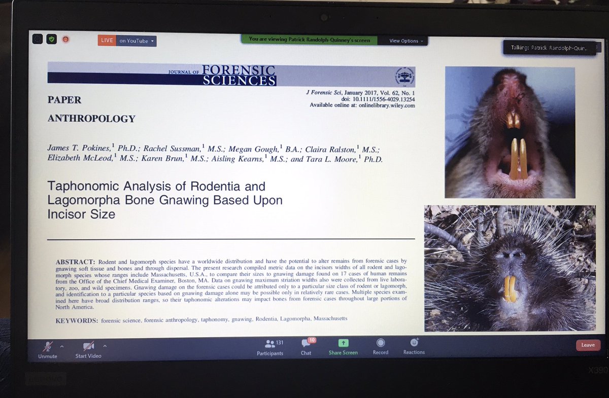 EmmaTollefsen's tweet image. #ForensicTaphonomy #Forensics #OnlineLecture