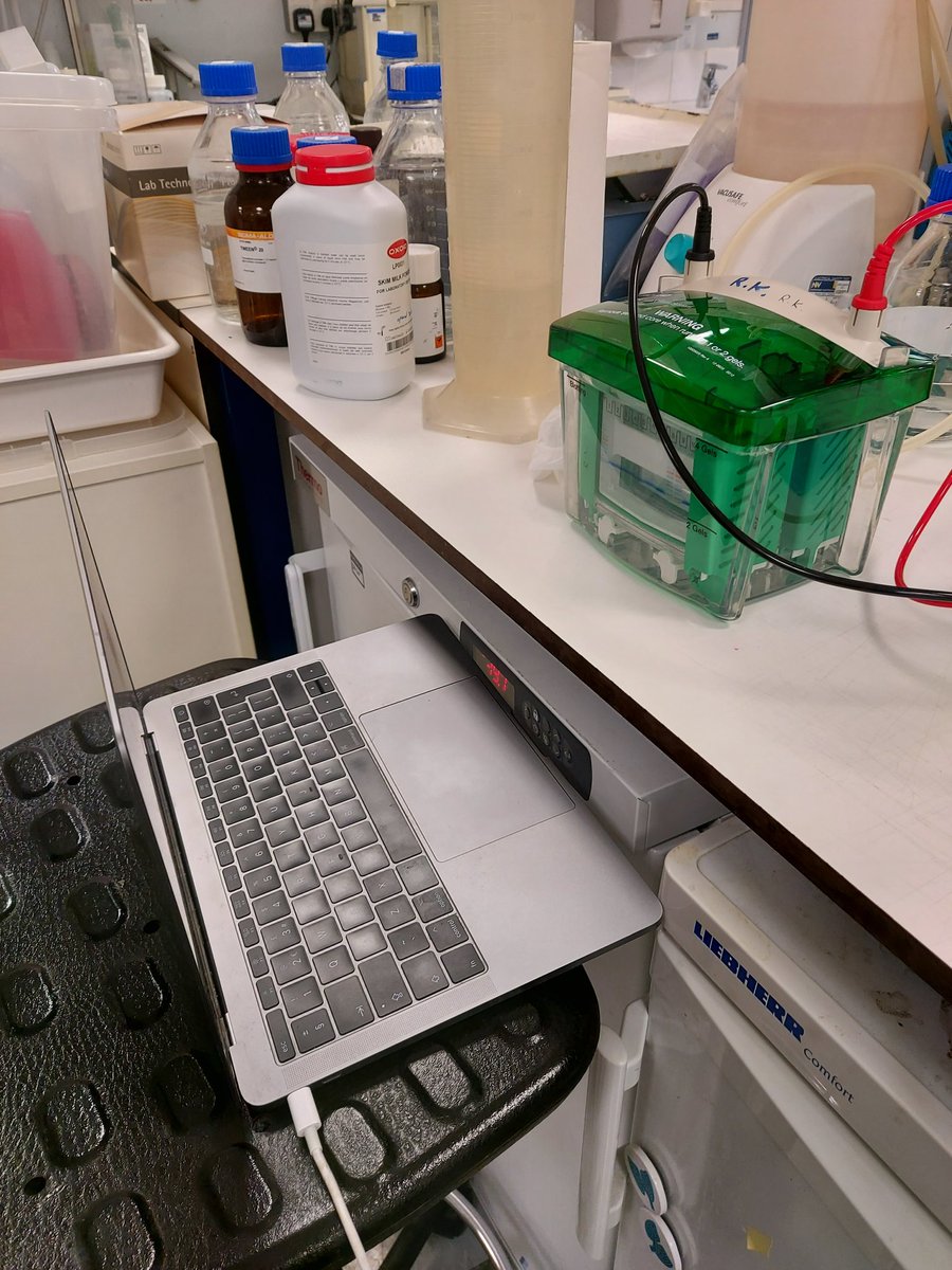 Dr Natasha Aley (@natasha_aley) on Twitter photo I can't thank <a href="/AcademicChatter/">Academic Chatter™</a> enough for this tip!
Zoom video call of my western blot while I went and had lunch without a single worry of it over running 😍 I can't thank <a href="/AcademicChatter/">Academic Chatter™</a> enough for this tip!
Zoom video call of my western blot while I went and had lunch without a single worry of it over running 😍