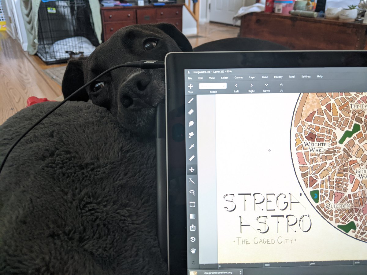 onnoleeworlds's tweet photo. coming later TODAY! learn about the caged city of strega'astro! and bonus pic of my assistant, (beyblade let it) ripley! https://t.co/FN2IEkiNSU