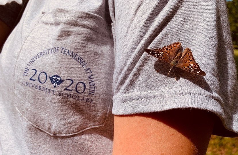 daily reminder to see the good in the little things all around you ✨