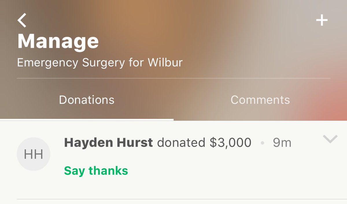 And to cap it off, we were $3,000 away from that goal a little while ago, and look who paid the rest. That’s the nicest thing anyone’s ever done for us,  @haydenrhurst. I have no idea how to repay you or what we did to deserve this, but we’re so thankful...especially Wilbur. 