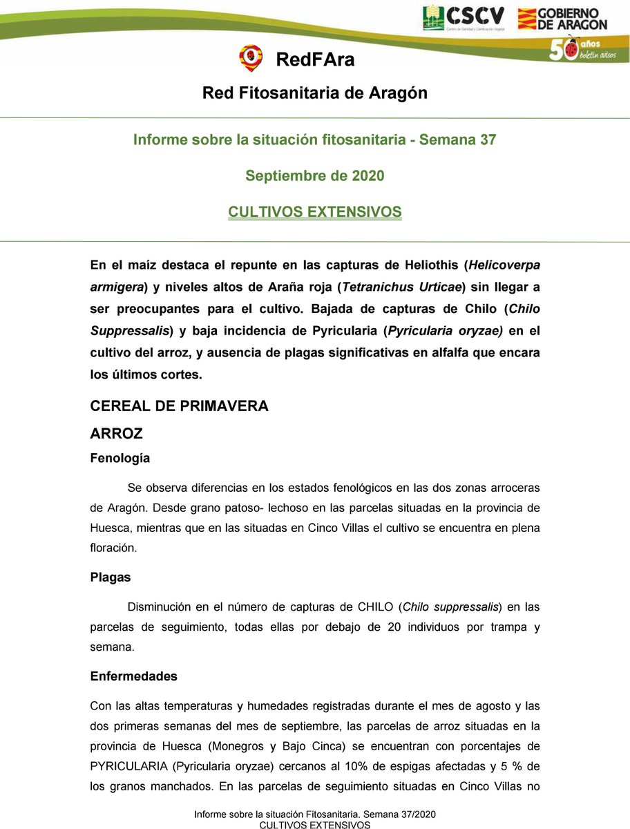 redfaragon's tweet photo. Aumento de capturas de #Heliothis y altos niveles de #arañaroja en #maíz🌾, son algunos de los datos recogidos en el #informe de la semana nº37 de los #cultivosextensivos
https://t.co/C1U57tJGeT https://t.co/Z1WENCzmpR