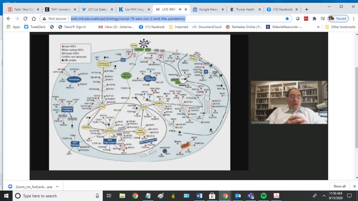 LIVE: David Baltimore says viruses sometimes jump from one species to another. When they come into the human world, we say they have "emerged." Which means we didn't think about them before. Slide: "This is what it looks like inside a cell."