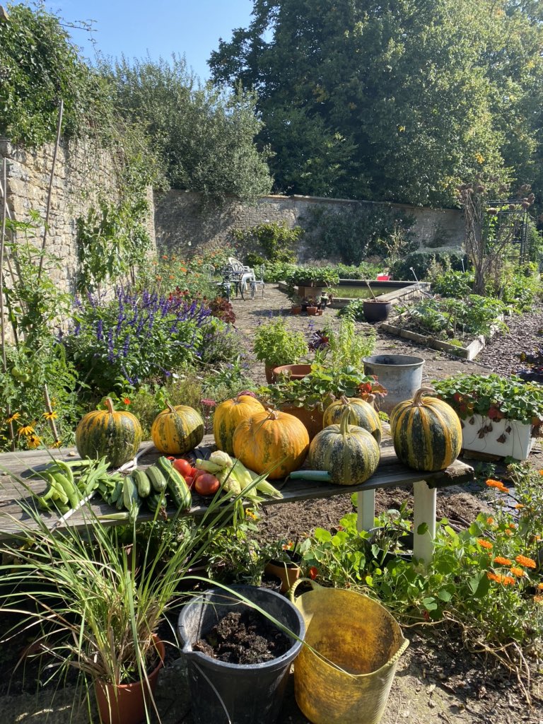 Young1Grace's tweet photo. Thank you @Sally_Morgan for a brilliant day on your ‘Living on an acre or less’ course. Inspiring and practical - can highly recommend - great opportunity to see @SoilAssociation certified farm in action! #organic #nodig #permaculture #smallholderfarmers https://t.co/TQh7Bdgeq0