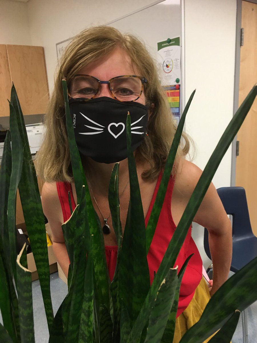 natalie morissette tweet media