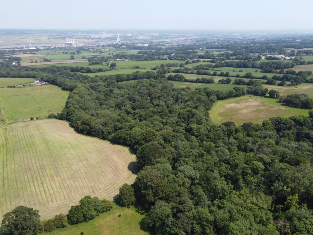 No2RedRoute's tweet photo. Stop the 'Red Route' in Flintshire, North Wales, destroying wildlife habitats and livelihoods. Tell the @WelshGovernment
 to drop its plans for this destructive new dual carriageway. It takes less than a minute! Click here: https://t.co/6YnKsHVate 
#StopTheRedRoute https://t.co/EucmSMoxMP