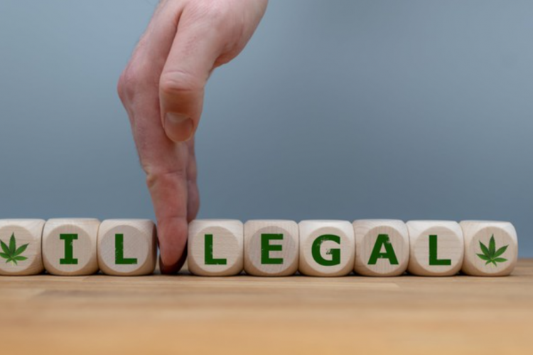 5 States Prepare Vote on Marijuana Legalization in November | High Green News buff.ly/32vi1O8 #highgreennews #cannabiscommunity #cannabisnews #cannabisculture