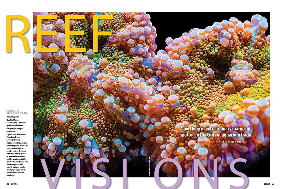 CORAL Magazine tweet media