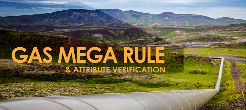 Skye Perry tweet media