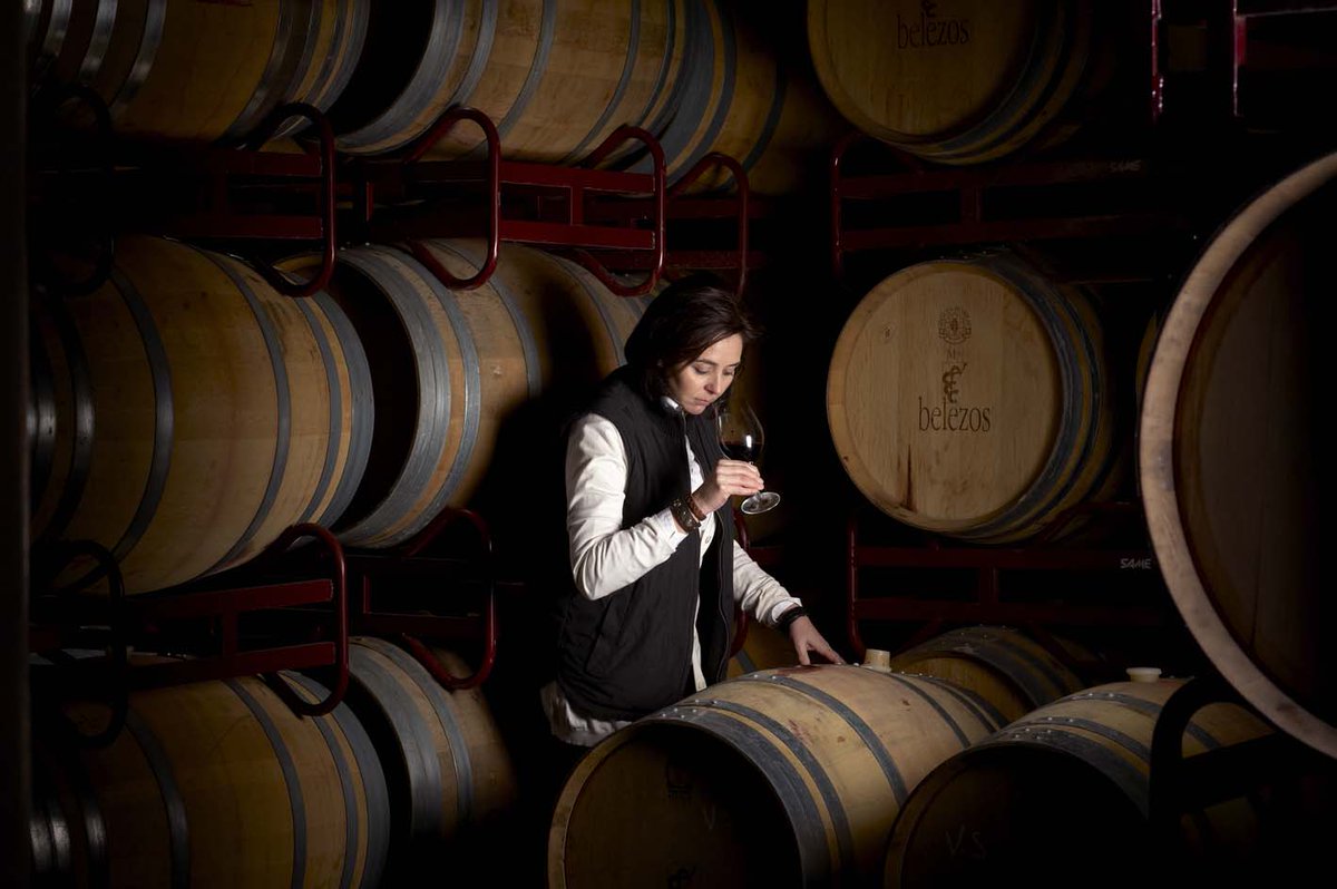 BodegasZugober's tweet photo. En las venas de nuestra familia no corre sangre sino vino, vinos #Belezos #bodegaszugober #vinorioja #RiojaAlavesa #rioja https://t.co/IR5z98H9ZW https://t.co/TdsZGeNv0s