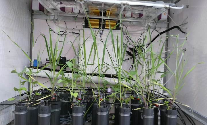 uzh_geo's tweet photo. How roots influence #ClimateChange: Soils play a major role for a stable state of the #Earth system. Milena Perraudin investigated in her master's thesis one of the most hidden parts of the terrestrial carbon cycle. https://t.co/NZ9GULKRie #125GIUZ #soilcarbon https://t.co/YXqqsbt6n1