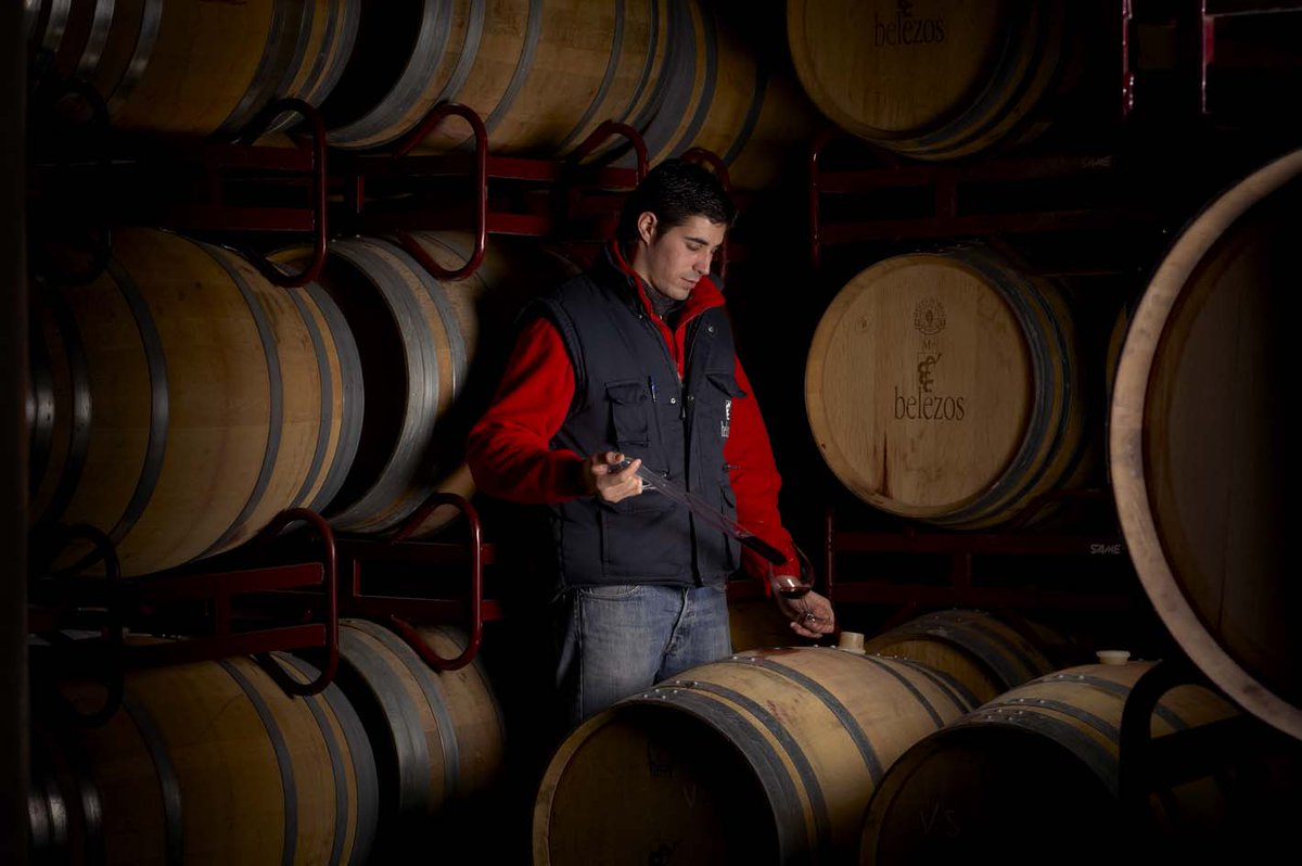 BodegasZugober's tweet photo. En las venas de nuestra familia no corre sangre sino vino, vinos #Belezos #bodegaszugober #vinorioja #RiojaAlavesa #rioja https://t.co/IR5z98H9ZW https://t.co/TdsZGeNv0s