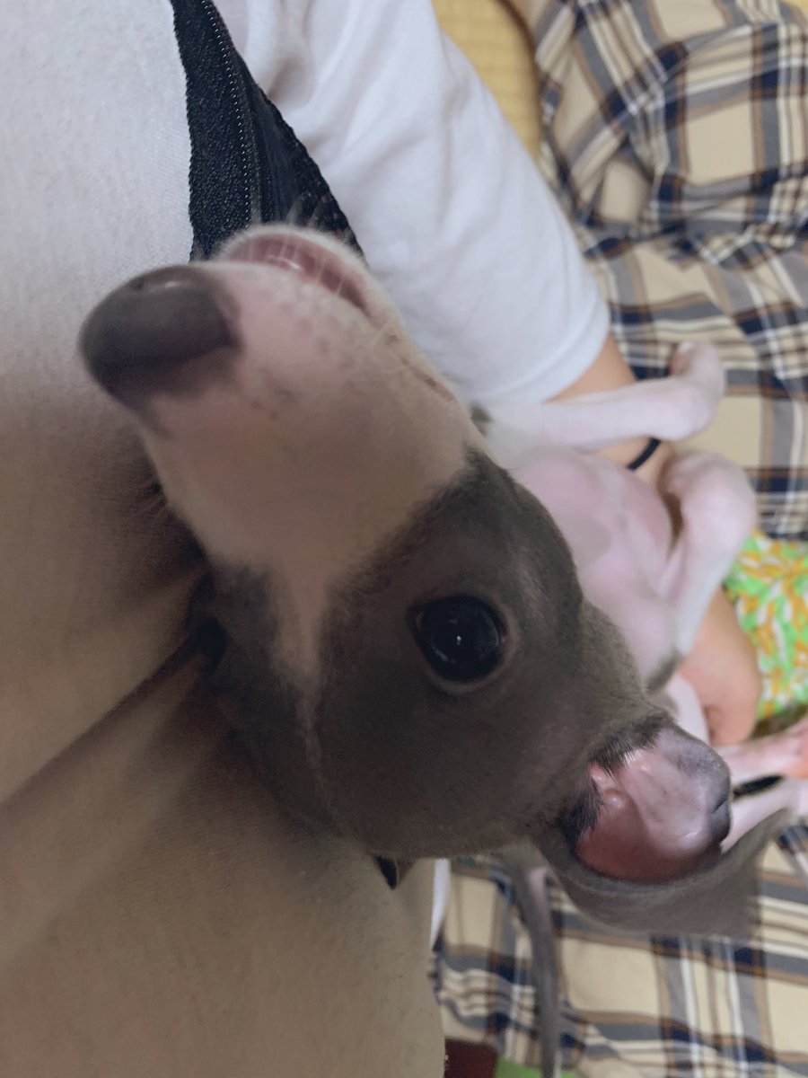 ひかり玉子 服屋は乳首上にチャックのある服を作らない方が良い 噛むから