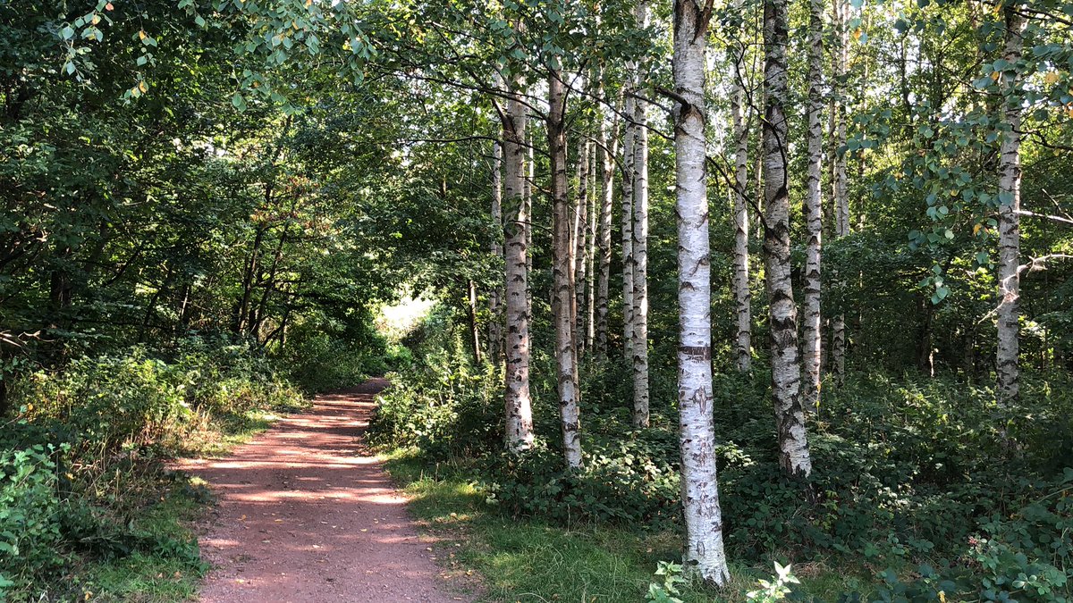 Have people been displaced to make place for my people? Pausing in the woods to consider this. We have so frequently been the displacers around the globe that I hadn’t really thought about this land, or how my ancestry would track back to land owners/those displaced from the land