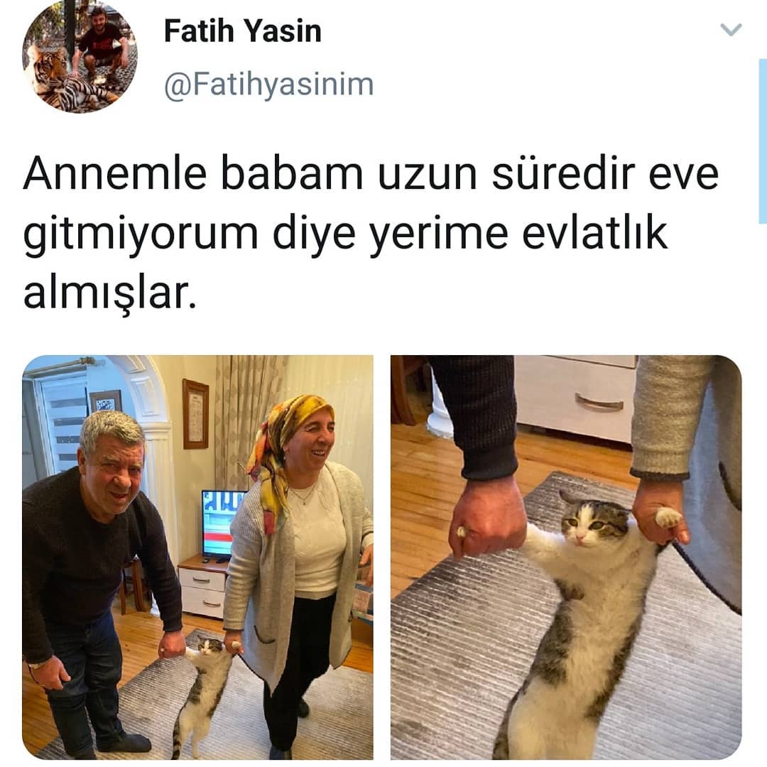 Akilli_Tv's tweet photo. https://t.co/fFRRZ7EroQ