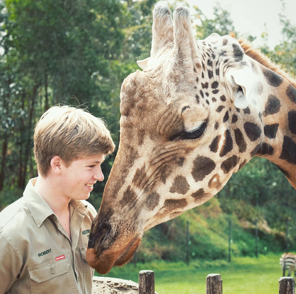 Tallest Giraffe In The World