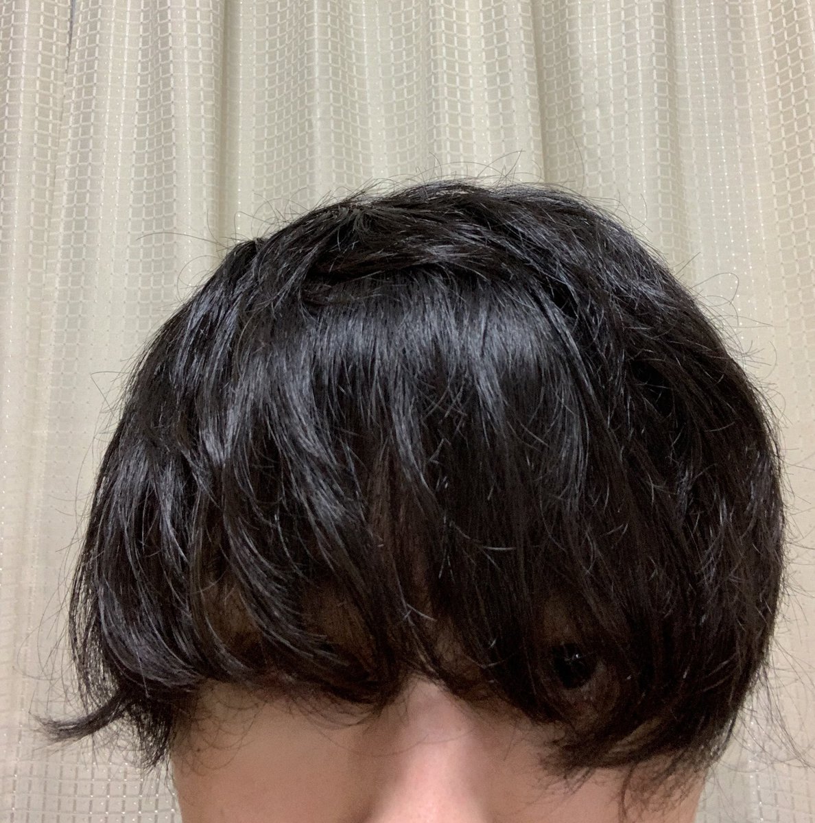 chanyutakagi's tweet photo. 髪伸びすぎた。下ろすと前が見えない。そろそろ切りましょうかね。 https://t.co/gqZS9oxWcA