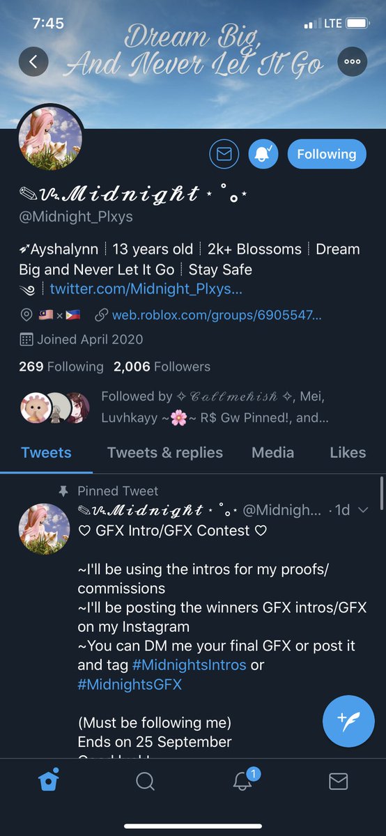 idk37404551's tweet photo. @Midnight_Plxys 🤠👍 Id  spin the adopt me one or the rh one https://t.co/MmpMT7xNC7