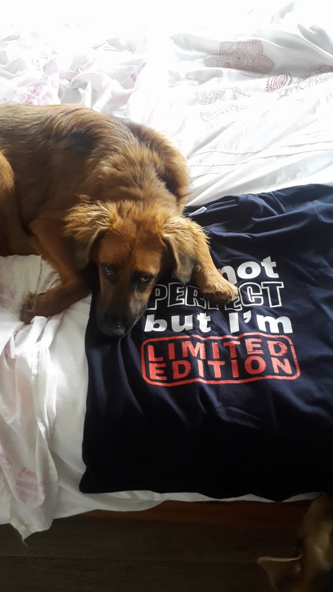 @Hot919fm I'm not perfect.......