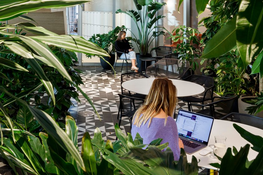 MoreySmith tweet media