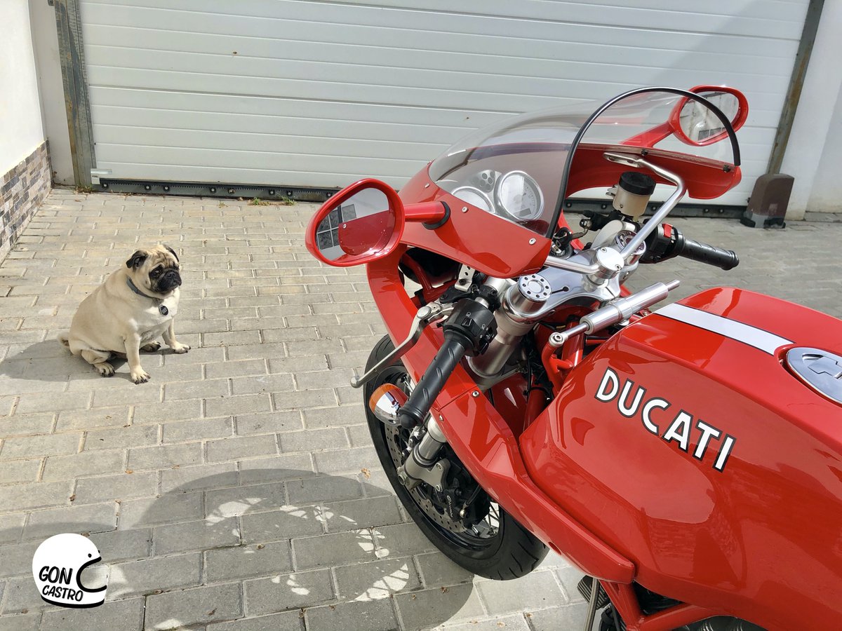 GonCastroBalea's tweet photo. "Detrás de cada moto había un hombre, y con él, un retazo de su existencia en común con la motocicleta".
#Ducati #DucatiSportClassic #DucatiSport1000S #Pug #Carlino #Carlinos #Pugs #ClassicMotorcyles #RossoAnniversary #DucatiClassic #DucatiSC https://t.co/JmJpNmr0Br