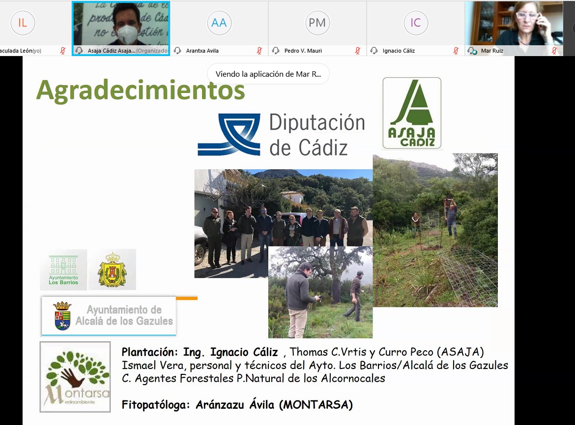 ASAJACADIZ's tweet photo. 📌Hoy hemos celebrado la presentación telemática del proyecto de ensayos con parcelas de #alcornoque afectadas por la seca. Muchas gracias @diputacioncadiz y a los @AytoLosBarrios @AytoAlcalaGles. https://t.co/7oEuvyE7lb
