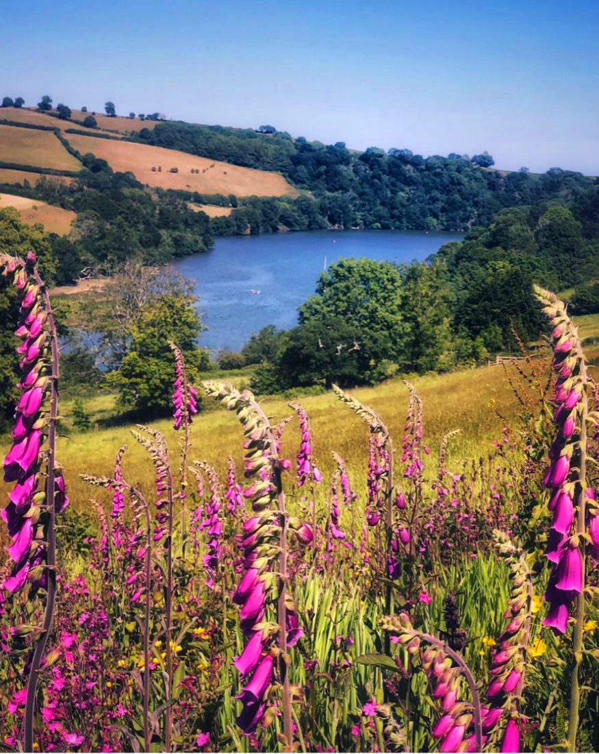 Just about the most perfect #picnic spot imaginable, captured by Mr_Jezwold on the banks of the #RiverDart.