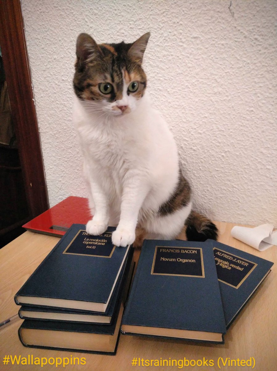 AinuYavanna's tweet photo. Todos los libros bendecidos por las patitas de Lexa 🐾
#Wallapop 🕵️♂️ #Wallapoppins https://t.co/fnokDxjqgP
#Vinted 🕵️♂️ #itsrainingbooks
https://t.co/a1q7VcRyDo https://t.co/CLvsWm4BzM