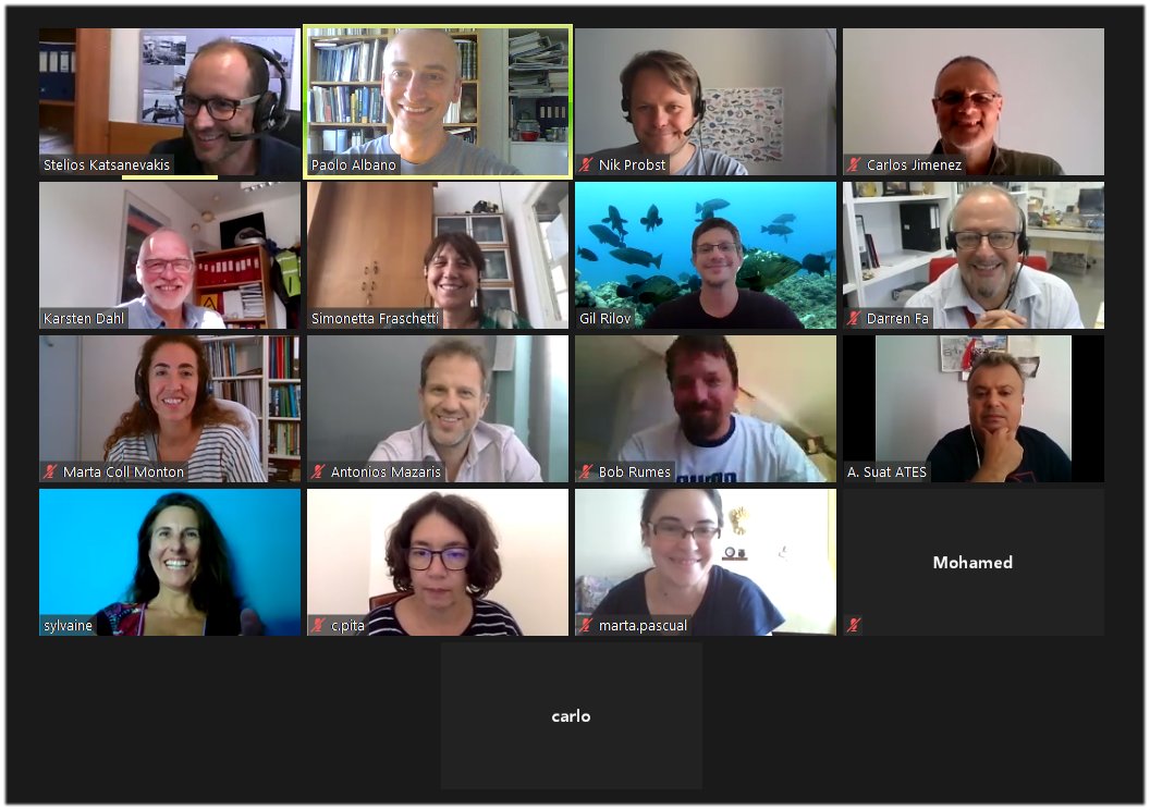 marcons_cost's tweet photo. Final MarCons MC meeting has just concluded on Zoom! https://t.co/oz2vKZLNBp