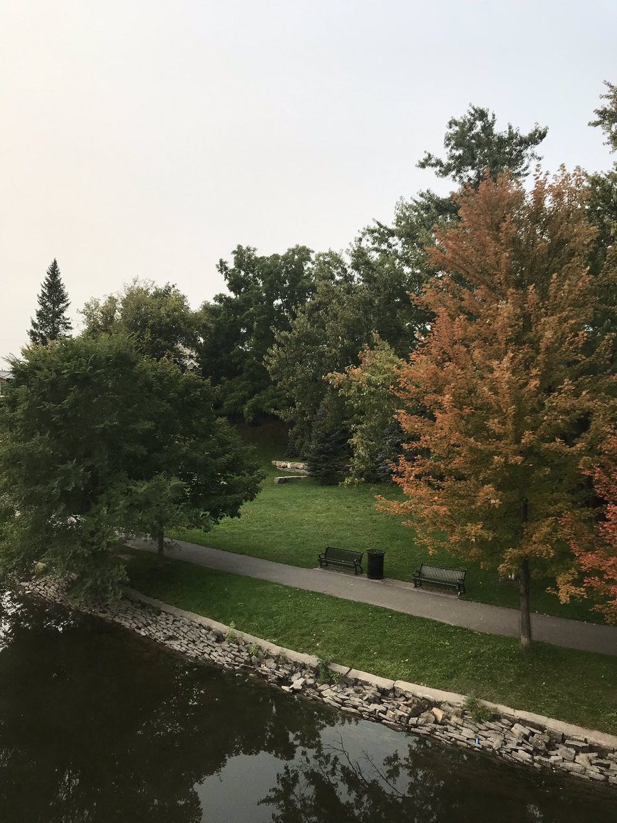 JenLamantia's tweet photo. Cooler temps and invigorating 10K this morning! #runhappy https://t.co/b1Uy4Kcr8X