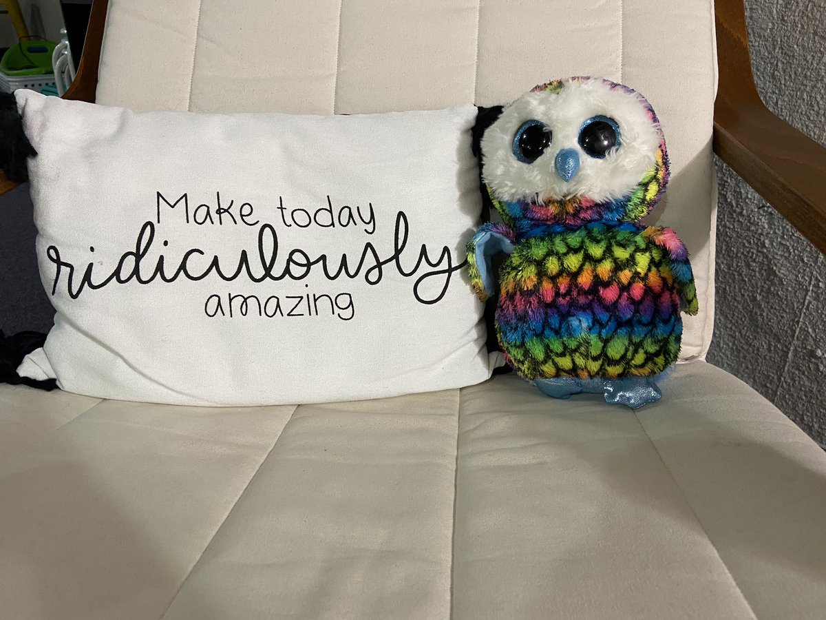 amyzizelman's tweet photo. Today we name our class mascot and get silly in Young 5’s #virtuallearningfun #makingmemories #OneGPVirtual @GPSchools https://t.co/5ycV74g1ce
