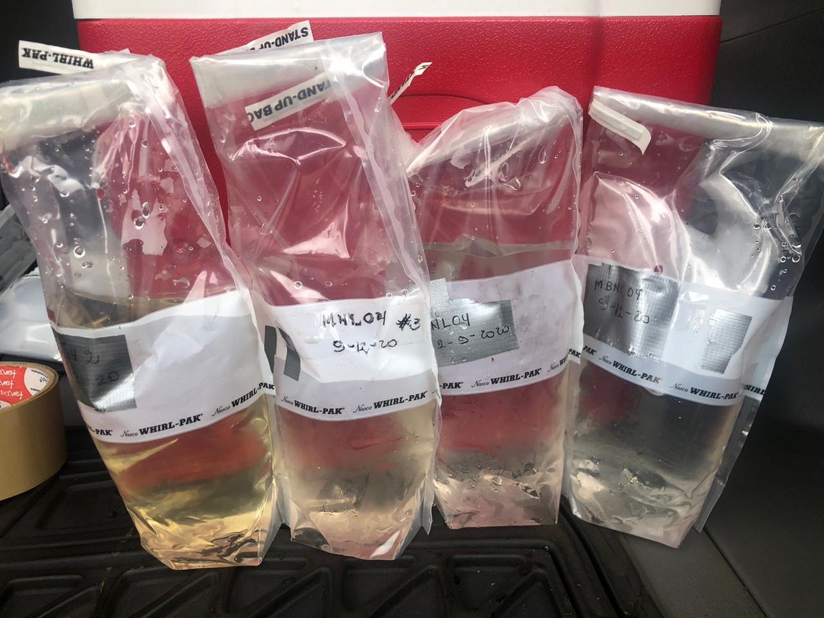 Silvia Parra tweet media