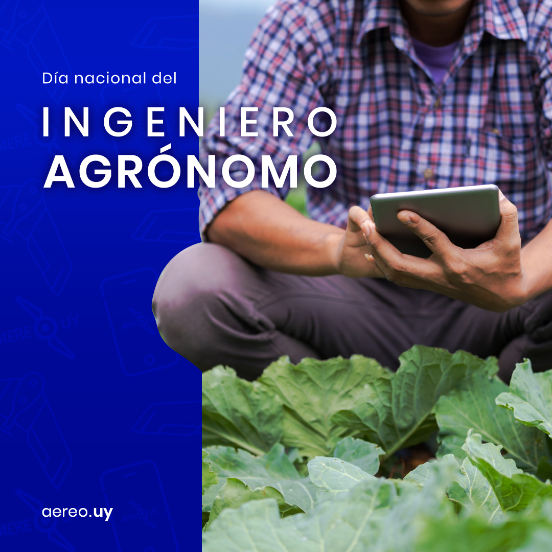 🌿 Feliz día del Ingeniero Agrónomo. 🌿
Una profesión cuyo trabajo es clave para el avance de un Uruguay productivo. 🇺🇾
A todos ellos, nuestro saludo y reconocimiento.

#agricultura #agronomía #uruguay #agro #uruguaynatural #uruguayproductivo
