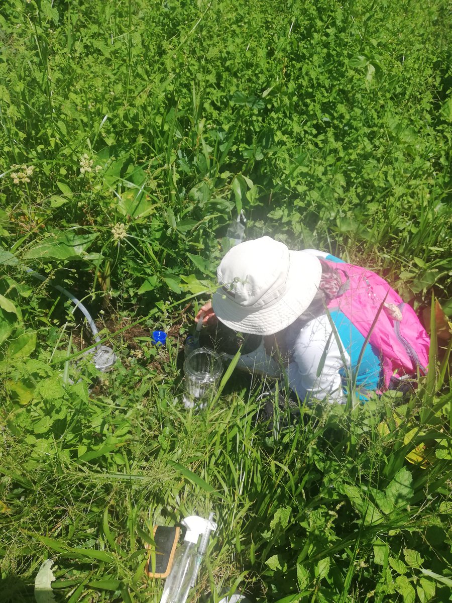 Silvia Parra tweet media