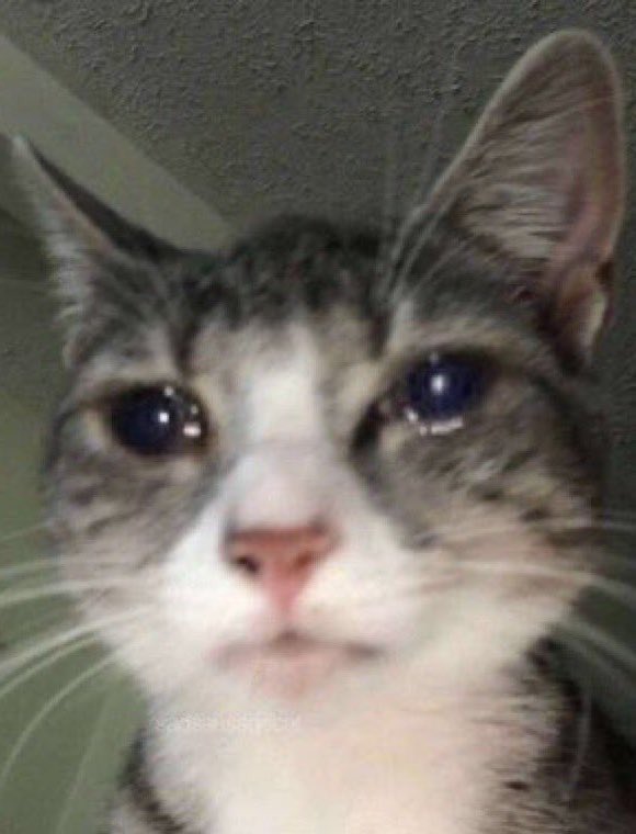 اختي لقت لها مسلسل تشوفه بزي الوان وامي  صارت تتابعه معها ىالحين طردوني وما كملت فلمي عشان يشوفون مسلسلهم التركي النايم