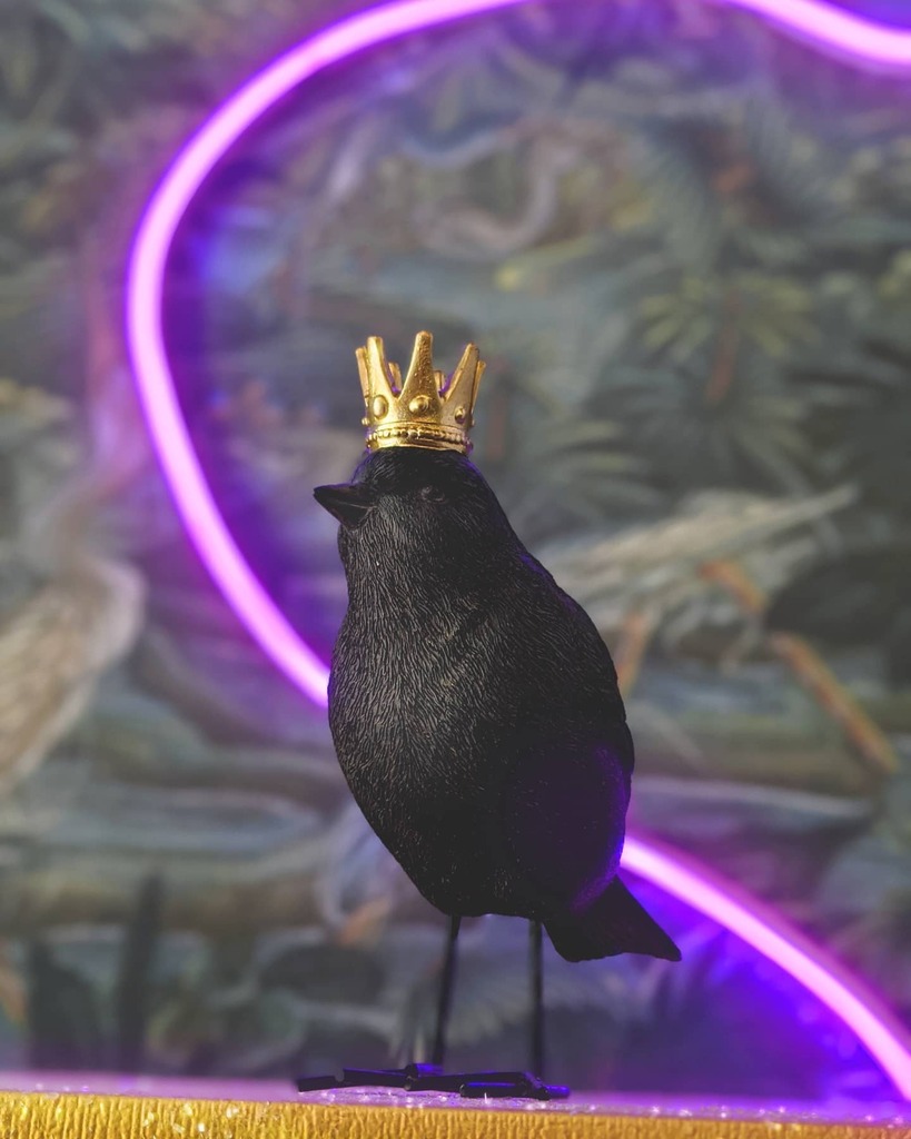 tebInteriors's tweet image. All hail the Qween!
.
Almost done editing down the pics from our latest install. *giggle*
.
.
#injectsomeedge #homegasm #interiordesign #design #homedecor #customhomedecor #home #colour #homesweethome #homedesign #homedecoration #homestyling #decoration … instagr.am/p/CFJ9Ss7pr-i/