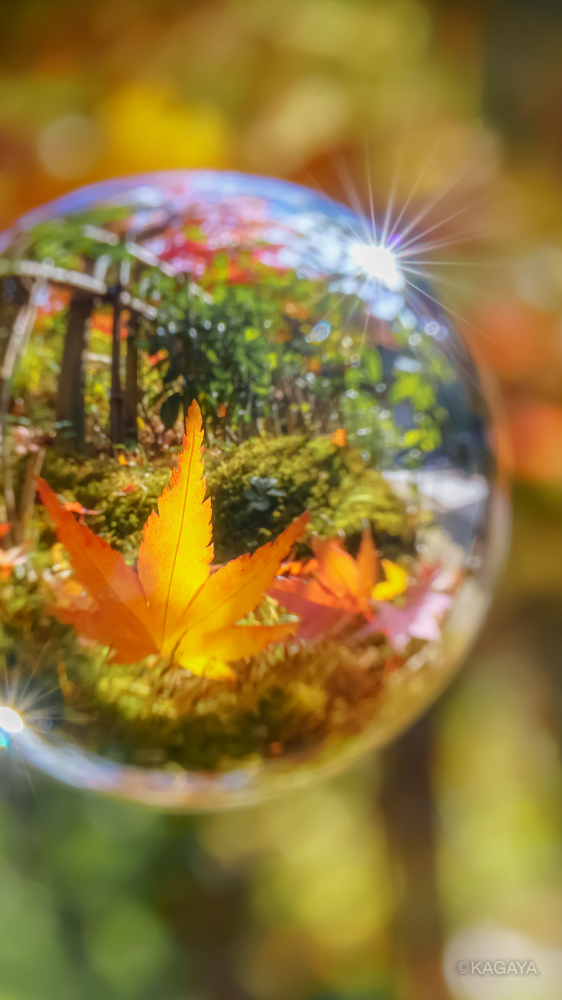 Kagaya 秋の壁紙です どうぞお使いください スマートフォン用です 加工したり他の人に配布したりはしないでくださいね リツイートはうれしいです