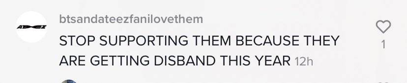 kardthegreat's tweet photo. Just saw this comment under a TikTok about KARD.... what the fawk 😐 https://t.co/hi6tyvIye5