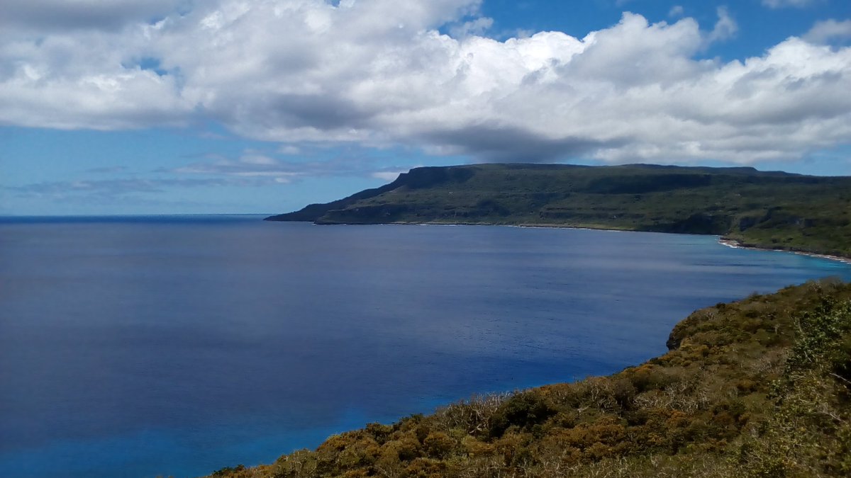bluepalmsrota's tweet photo. つるっつる～♪
水面を走りたくなるほど、つるっつる♪

#bluepalms#rotaisland https://t.co/ZGbL6B78iG