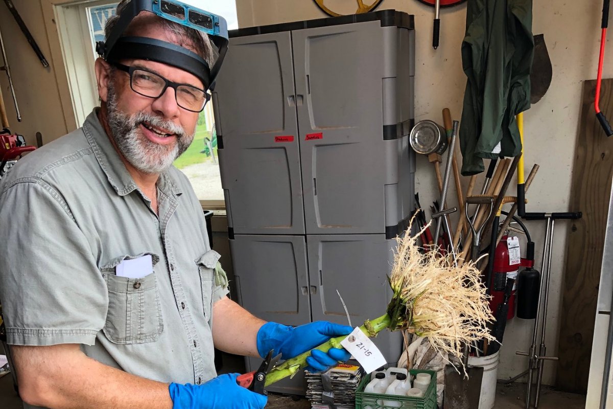 PrairieResInst's tweet photo. Corn #rootworms inflict >$1 billion annually in lost revenue/control costs. Read why #INHS insect behaviorist @talkingrootworm says, "Illinois' period of good fortune may be coming to an end." ➡️ https://t.co/LUfbxSLVMN https://t.co/M19mimDfWe