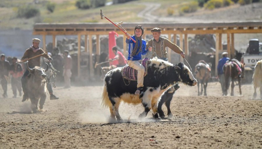 PakistanTSG's tweet image. Broghil Festival is a two day event that is taking place in Broghil Valley. The festival will showcase various activities, including traditional sports such as horse and yak polo, buzkashi, marathon race, tug-of-war, wrestling and other traditional games.
#PCTSG #ICTSG #TSG