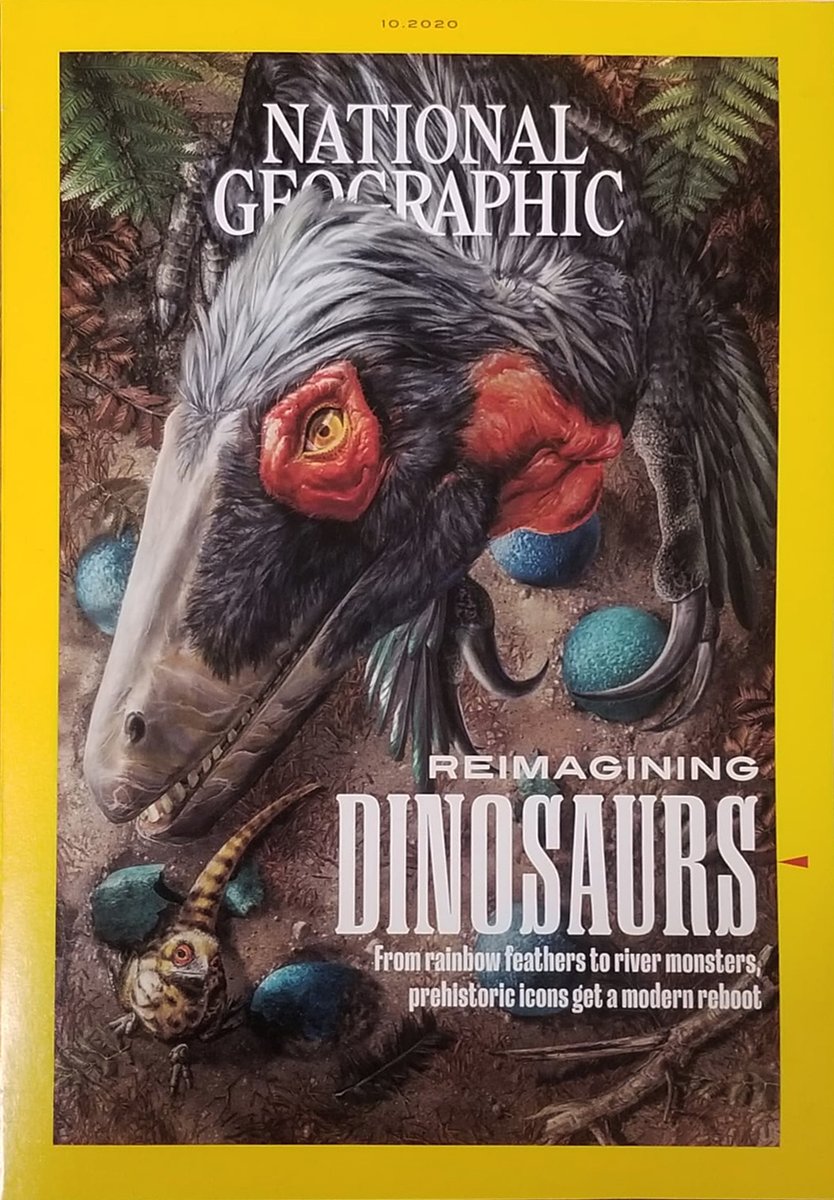One Flew Over the Deinonychus' Nest 🦖🦖
@NatGeo @InsideNatGeo 
#Cover #oct2020 #covermagazine #Paleontology  #dinosaur #paleoart #paleoartist #paleoappi #PaleontologiaePaleoarte #PrehistoricMinds @jasmina_wiemann @PaleoAppi