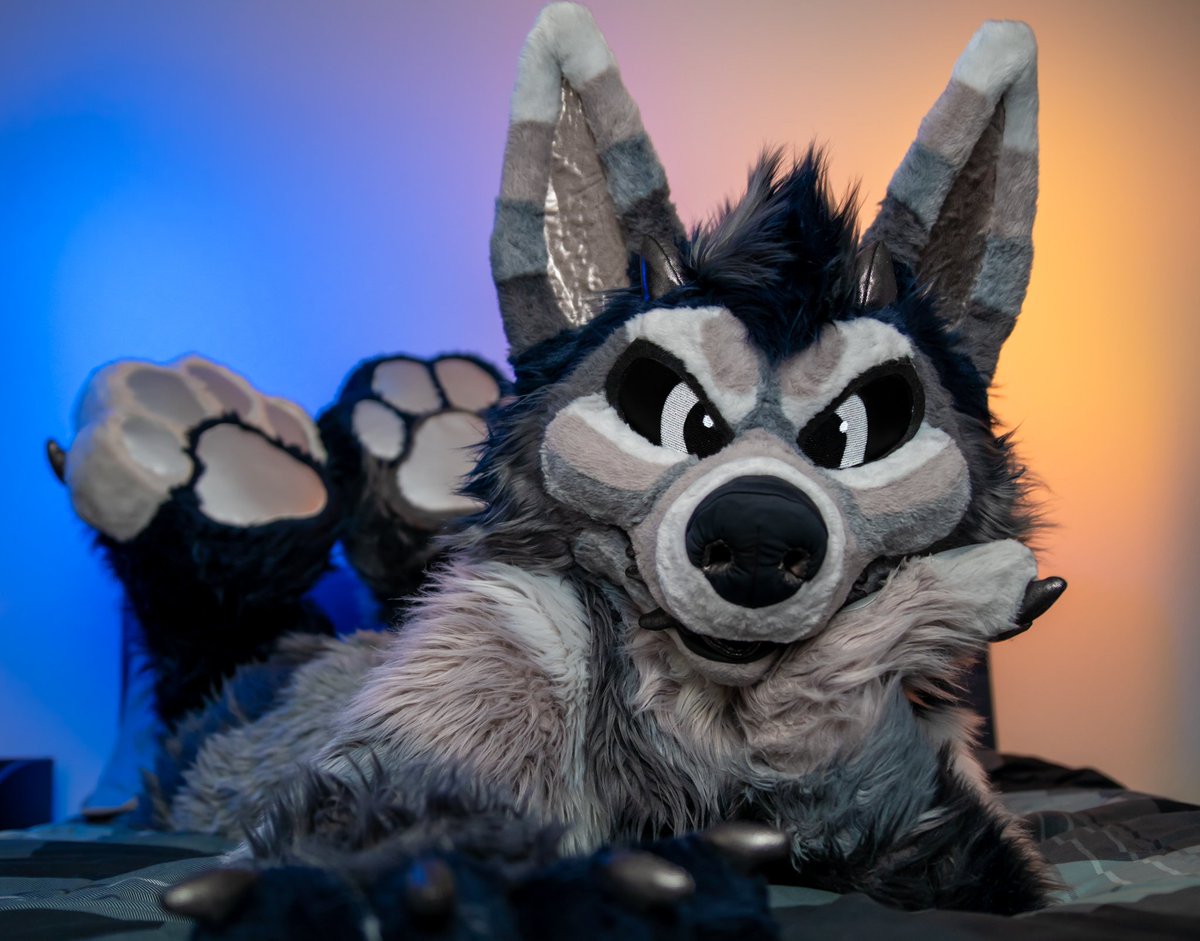 Riverwulf's tweet photo. hi there πΎ
#TFUTuesday
βοΈ @ThatsFurredUp
πΈ @husky_mint https://t.co/XYrjqTIXVG
