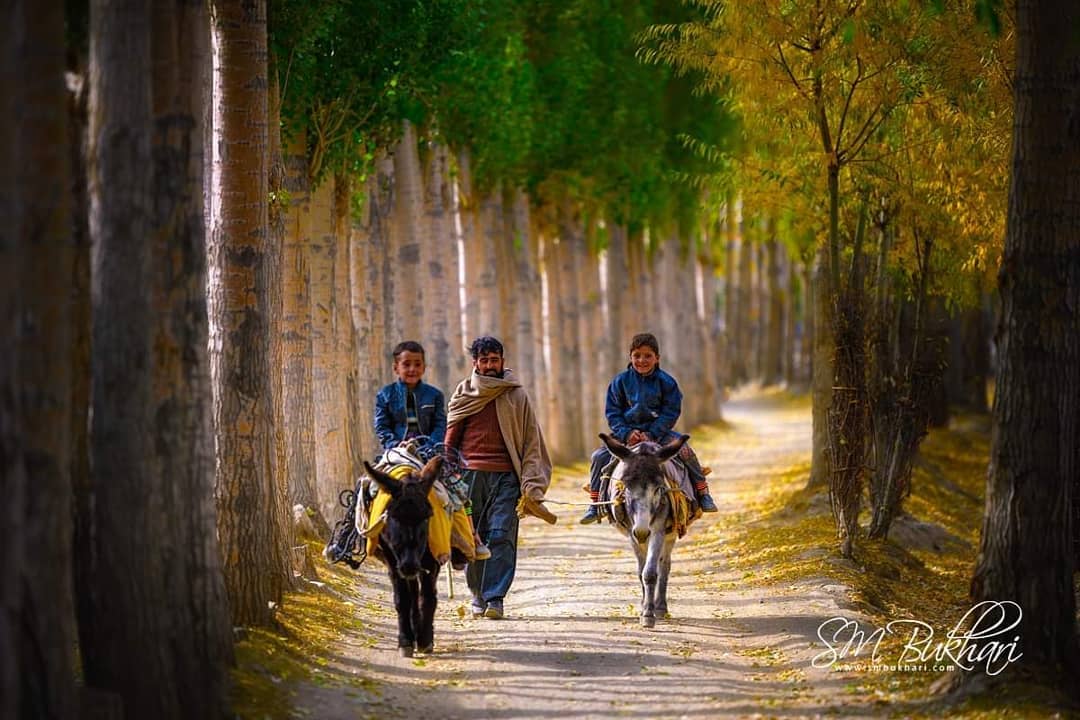 muhammadp1989's tweet photo. #schoolsreopening
#Pakistan
Its a School time 

©️ S M Bukhari https://t.co/KLvVkriuS2