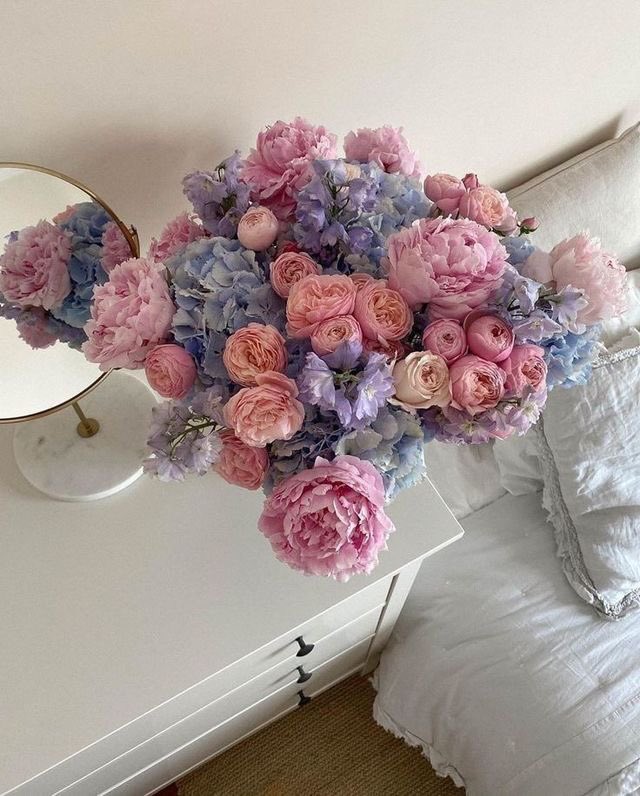 itgirldreaming's tweet photo. Bloom. https://t.co/suezMR4PdS