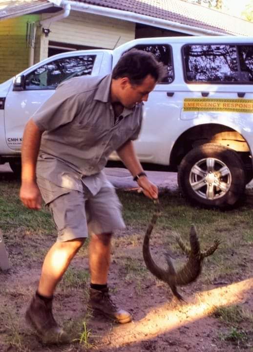 Tonight's episode of Snake Season, sees me going to rescue a different kind of reptile!

For more details: facebook.com/13815102788310…

#SnakeSeason #DSTV #PeoplesWeather #MonitorLizards #reptiles #durban #southafrica #africa #kzn #conservation #wildlife #lizard