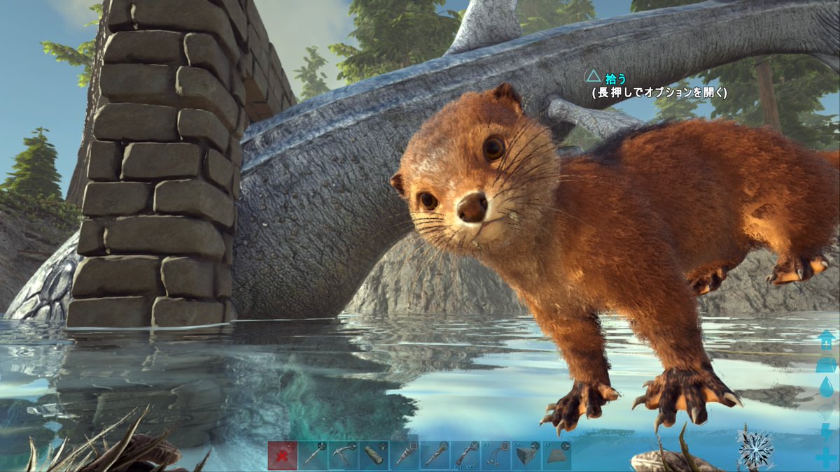 おれ クリスタルアイルズでも浅瀬に捕らわれるリードシクティス あとark癒し担当のカワウソを至近距離で Ps4share