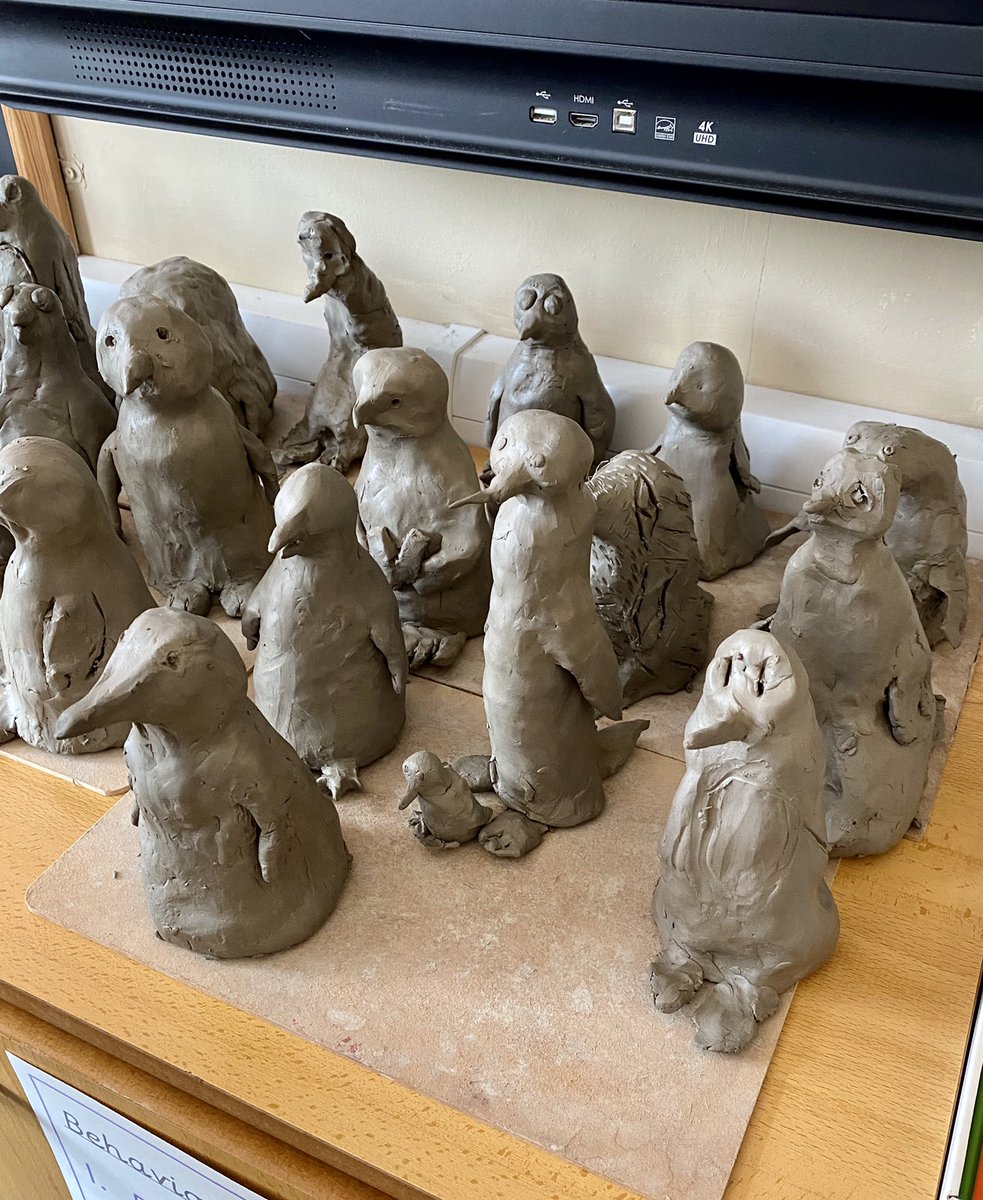 SitwellSchool's tweet image. Here they are. Meet 6JB’s clay emperor penguins 🐧 I love them! Well done everyone #superSitwell #resilience #6JB #superstars