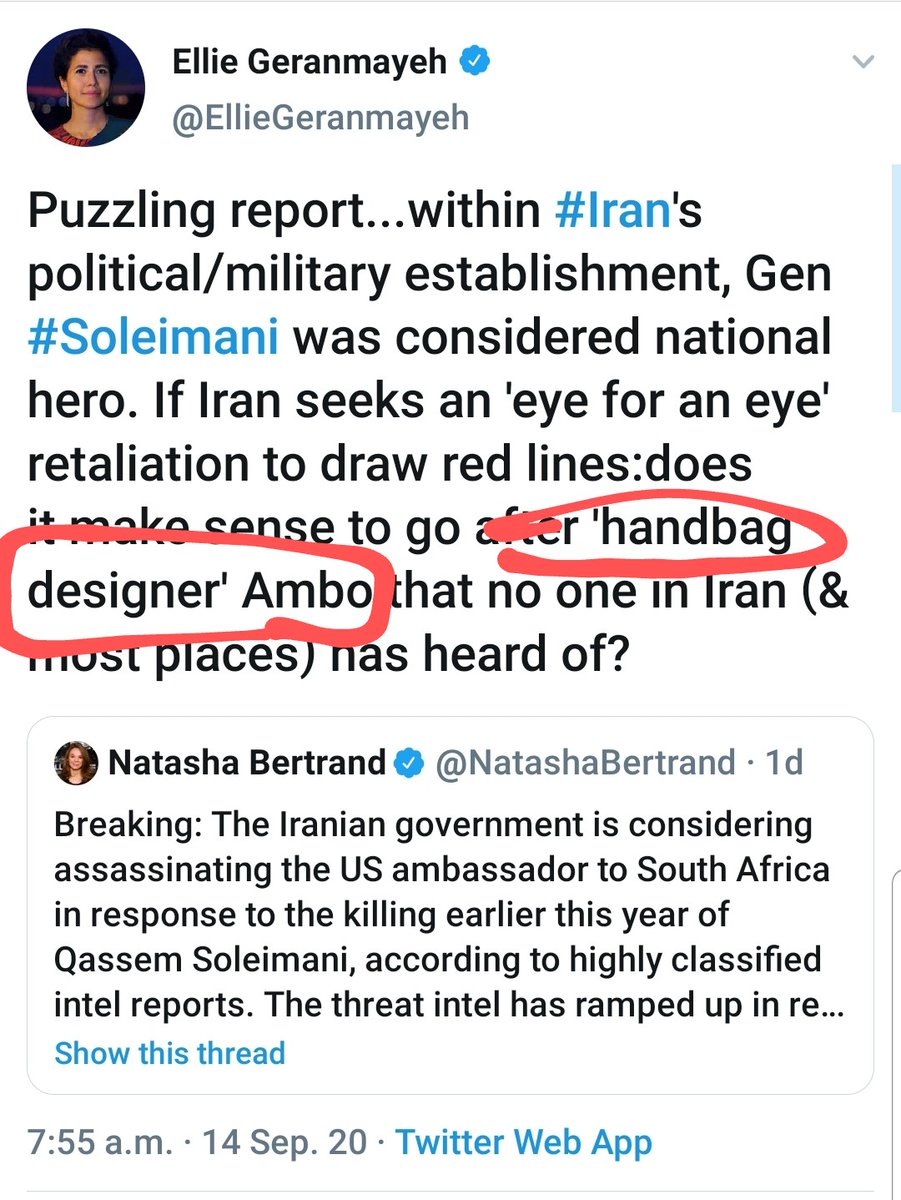2/ This woman is British-Iranian and presumably lives in Europe, but much like the others her first instinct is to mock the American official and assume Iran's regime is blameless.