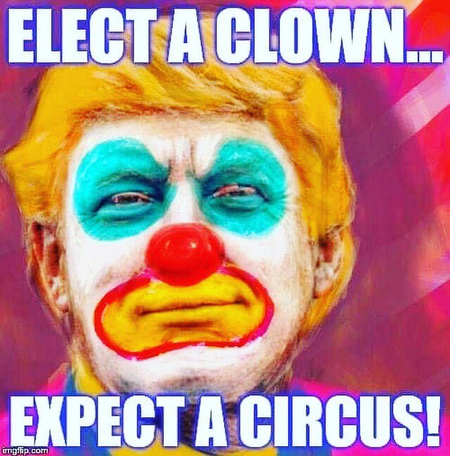manionar's tweet photo. @ConservUSA38 @realDonaldTrump OMG- I just realized the President retweeted THIS. Seriously- almost 200,000 people are dead and this is how he spends his day. Retweeting stupid crap. #TrumpIsNotWell #TrumpIsAMoron #TrumpTaxReturns #TrumpLiedAmericansDied https://t.co/AbNlfcAyz2